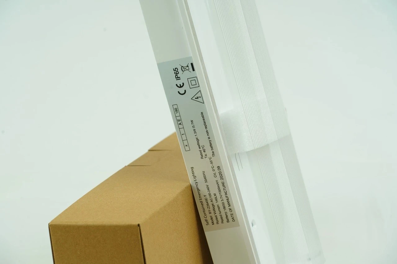 Emergency Path Lighting and Exit Lights for Safe Evacuation